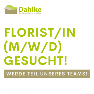 Florist/in (m/w/d) gesucht! Werde Teil unseres Teams!