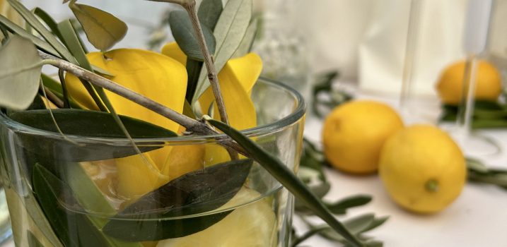 Zitrone Olive Deko